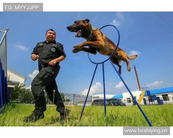 罗威重返赛场里斯状态回暖瀚森发展联盟历练成必然选择