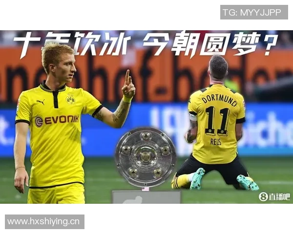 今日趣图:世一卫力劈华山展现十佳球实力曾效力凯尔特人风采依旧 今日趣图:世一卫力劈华山展现十佳球实力曾效力凯尔特人风采依旧